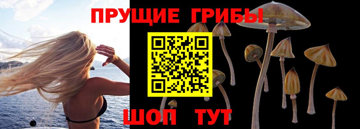 где найти наркотики  Псилоцибиновые грибы MAGIC MUSHROOMS  Вход с VPN  Большой Камень 